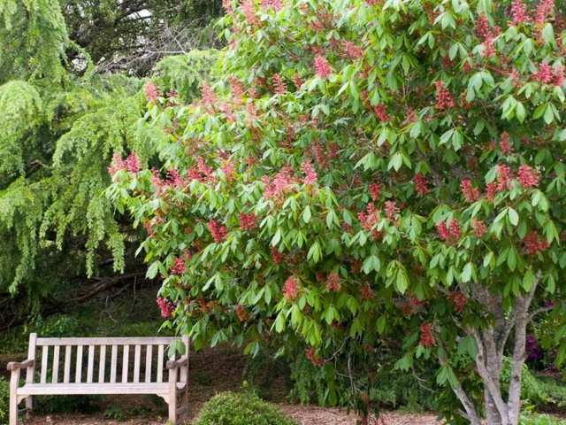 Munden Point Gallery Park Bench
