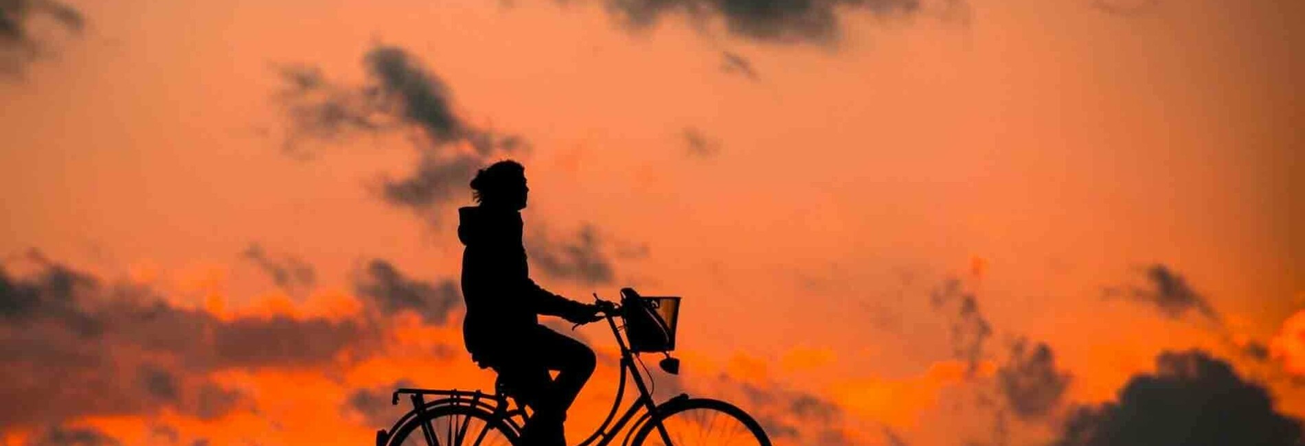 Man Ridiing Bike at Sunset