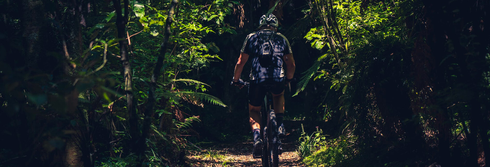 Man Riding Bike on Trail