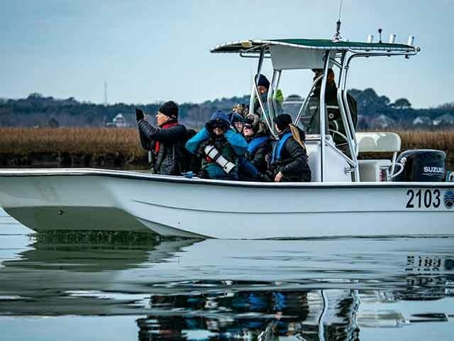 Festival in action sylvia williams people on boat