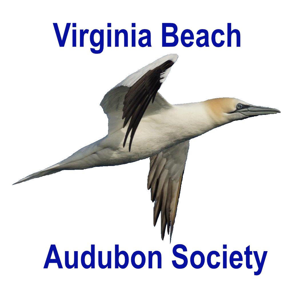 Audubon SocietyLogo