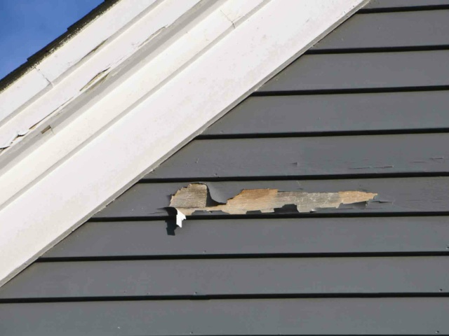 Paint Peeling on Siding