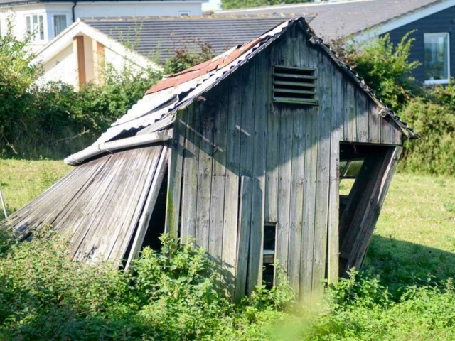 Shed in Disrepair