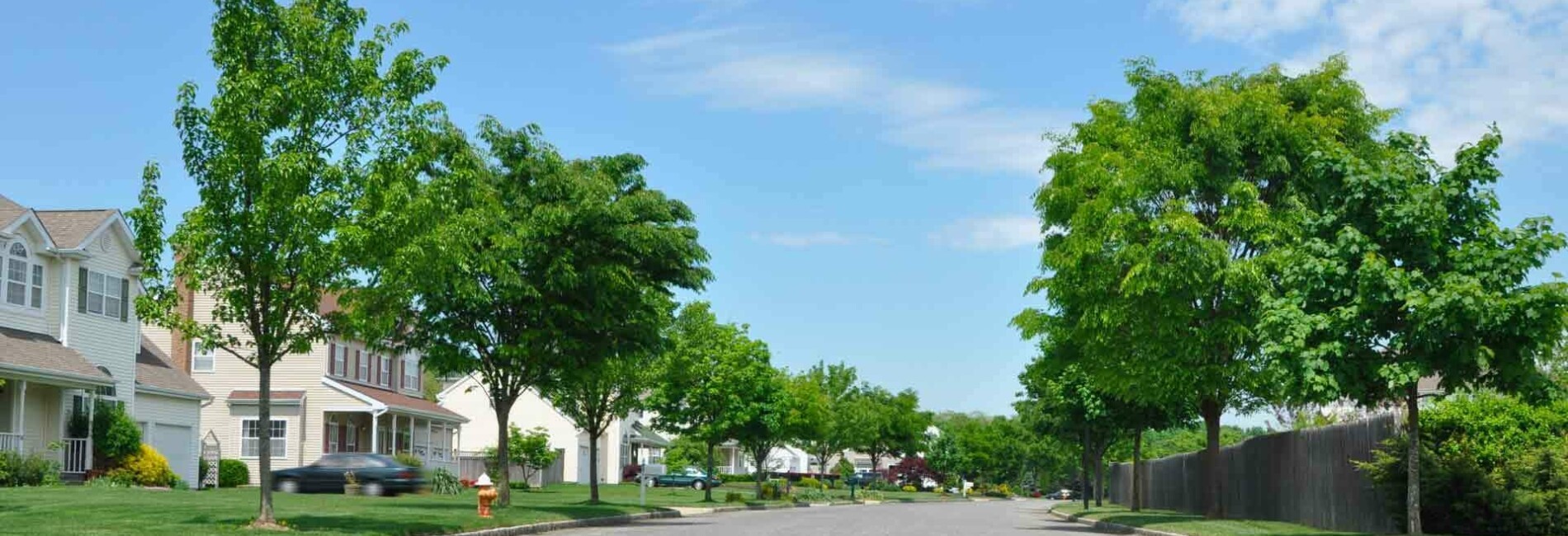Neighborhood with Houses on Left
