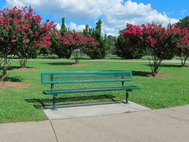 Woodstock Gallery Park Bench