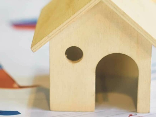 Wooden House on Reports