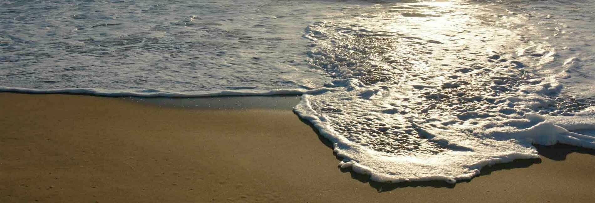 Circuit court clerks header