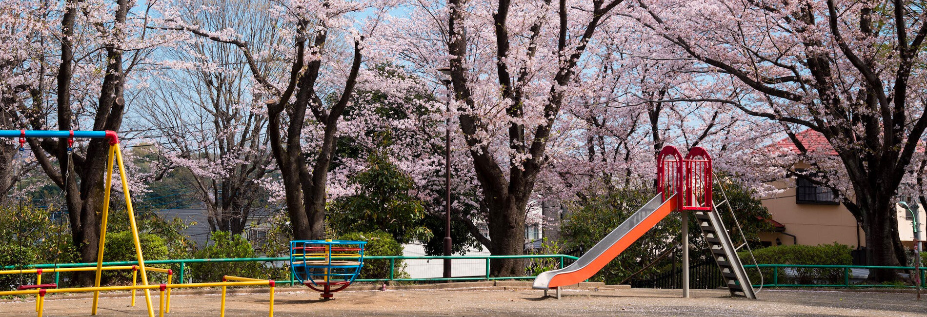 Playgroud with Blooming Trees